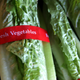 Illustration for article titled FDA Official Gives Update on E. Coli Outbreak, But You Shouldnt Eat Romaine Lettuce Just Yet